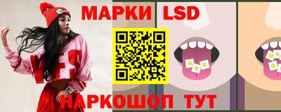 гашик Донецк